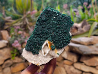 Natural Ball Malachite and Drusy Quartz On Dolomite Matrix Specimen x 1 From Mindingi Mine, Kambove, Congo