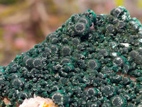 Natural Ball Malachite and Drusy Quartz On Dolomite Matrix Specimen x 1 From Mindingi Mine, Kambove, Congo