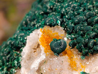 Natural Ball Malachite and Drusy Quartz On Dolomite Matrix Specimen x 1 From Mindingi Mine, Kambove, Congo