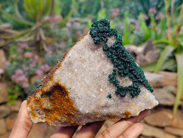 Natural Ball Malachite and Drusy Quartz On Dolomite Matrix Specimen x 1 From Mindingi Mine, Kambove, Congo