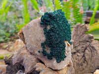 Natural Ball Malachite and Drusy Quartz On Dolomite Matrix Specimen x 1 From Mindingi Mine, Kambove, Congo