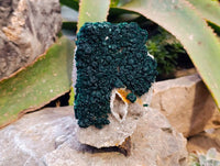 Natural Ball Malachite and Drusy Quartz On Dolomite Matrix Specimen x 1 From Mindingi Mine, Kambove, Congo