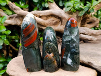 Polished Bloodstone Standing Free Forms x 3 From Swaziland