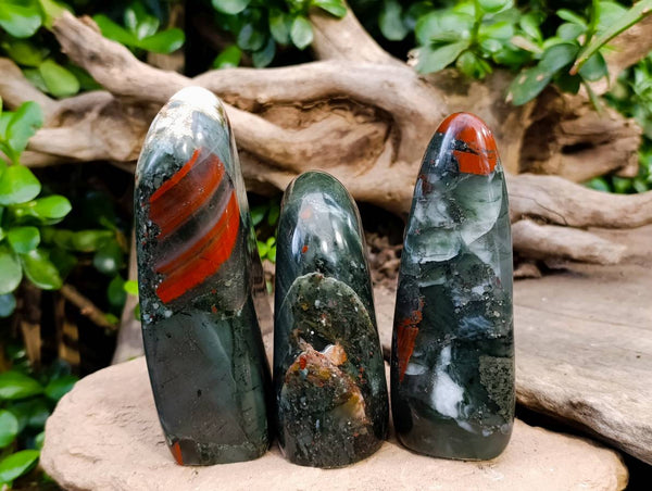 Polished Bloodstone Standing Free Forms x 3 From Swaziland