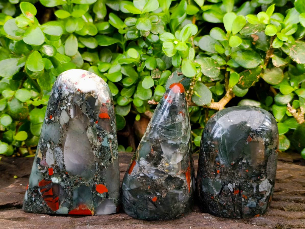 Polished Bloodstone Standing Free Forms x 3 From Swaziland - Toprock Gemstones and Minerals 