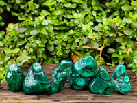 Polished Flower Banded Malachite Free Forms x 6 From Congo