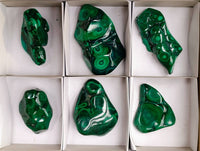 Polished Flower Banded Malachite Free Forms x 6 From Congo