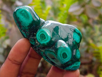 Polished Flower Banded Malachite Free Forms x 6 From Congo