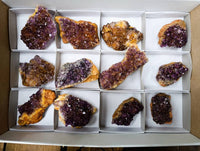 Natural Amethystos Amethyst Clusters x 12 From Kwaggafontein, South Africa