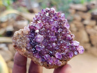 Natural Amethystos Amethyst Clusters x 12 From Kwaggafontein, South Africa