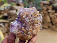Natural Amethystos Amethyst Clusters x 12 From Kwaggafontein, South Africa