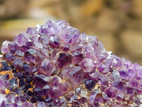 Natural Amethystos Amethyst Clusters x 12 From Kwaggafontein, South Africa
