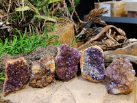 Natural Amethystos Amethyst Clusters x 12 From Kwaggafontein, South Africa