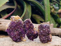 Natural Amethystos Amethyst Clusters x 12 From Kwaggafontein, South Africa