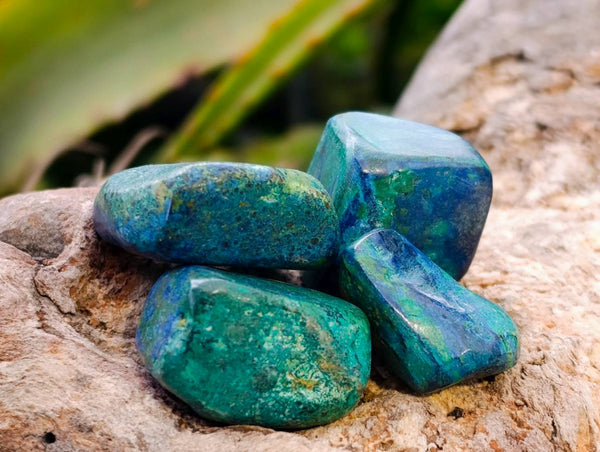 Polished Azurite and Malachite Free Forms x 70 From Congo