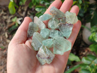 Natural Watermelon Fluorite Cobbed Pieces x 5 Kg Lot From Uis, Namibia