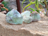 Natural Watermelon Fluorite Cobbed Pieces x 5 Kg Lot From Uis, Namibia