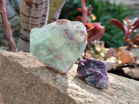 Natural Watermelon Fluorite Cobbed Pieces x 5 Kg Lot From Uis, Namibia