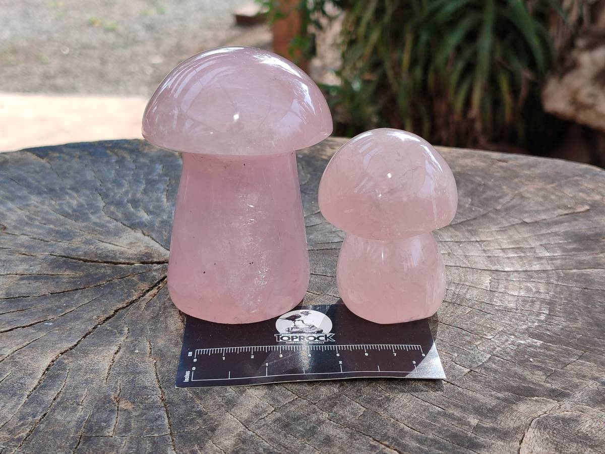 Polished Rose Quartz Mushrooms x 6 From Madagascar - Toprock Gemstones and Minerals 
