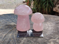 Polished Rose Quartz Mushrooms x 6 From Madagascar
