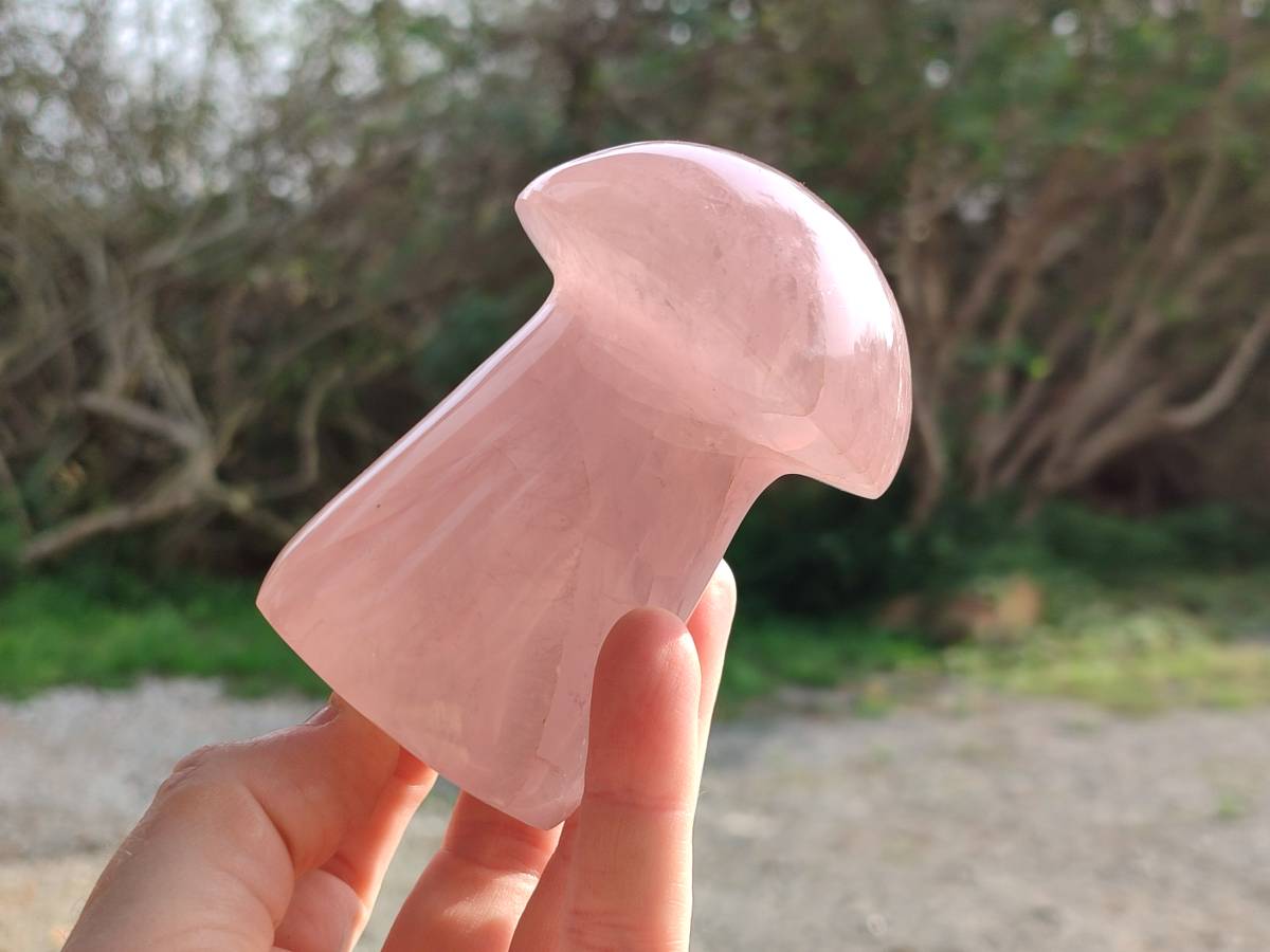 Polished Rose Quartz Mushrooms x 6 From Madagascar - Toprock Gemstones and Minerals 