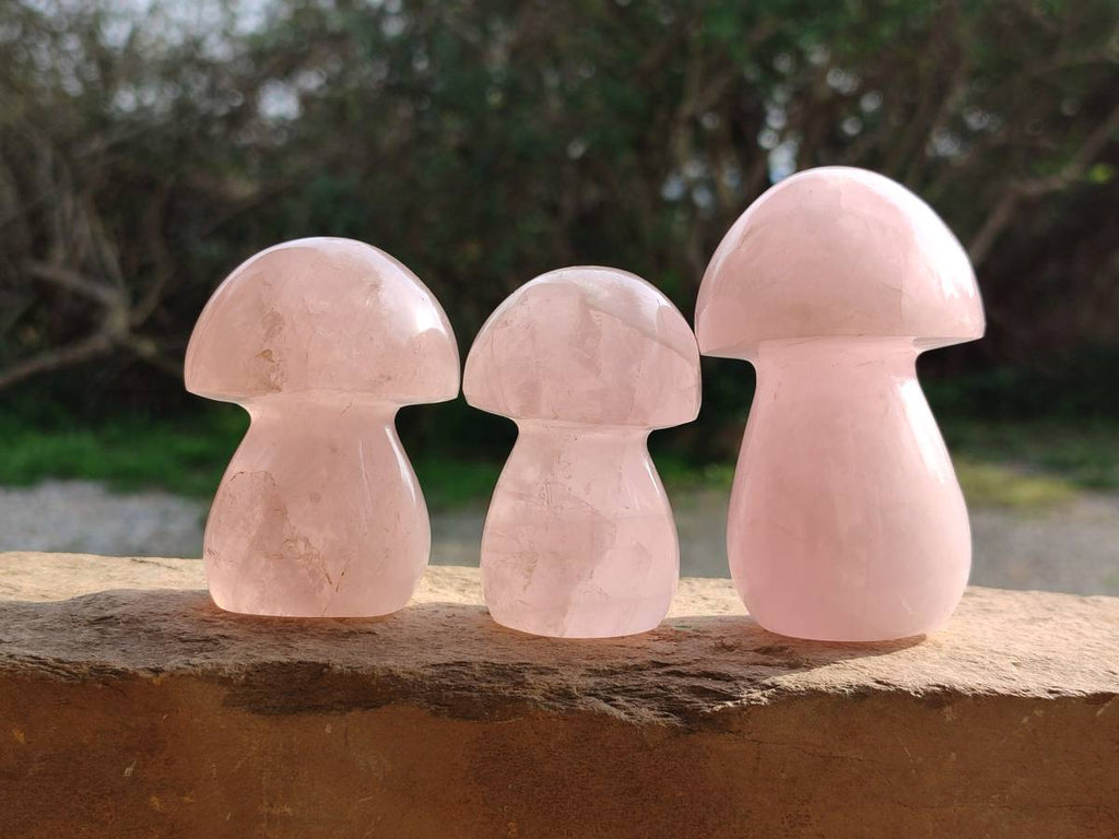 Polished Rose Quartz Mushrooms x 6 From Madagascar - Toprock Gemstones and Minerals 