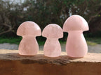 Polished Rose Quartz Mushrooms x 6 From Madagascar - Toprock Gemstones and Minerals 