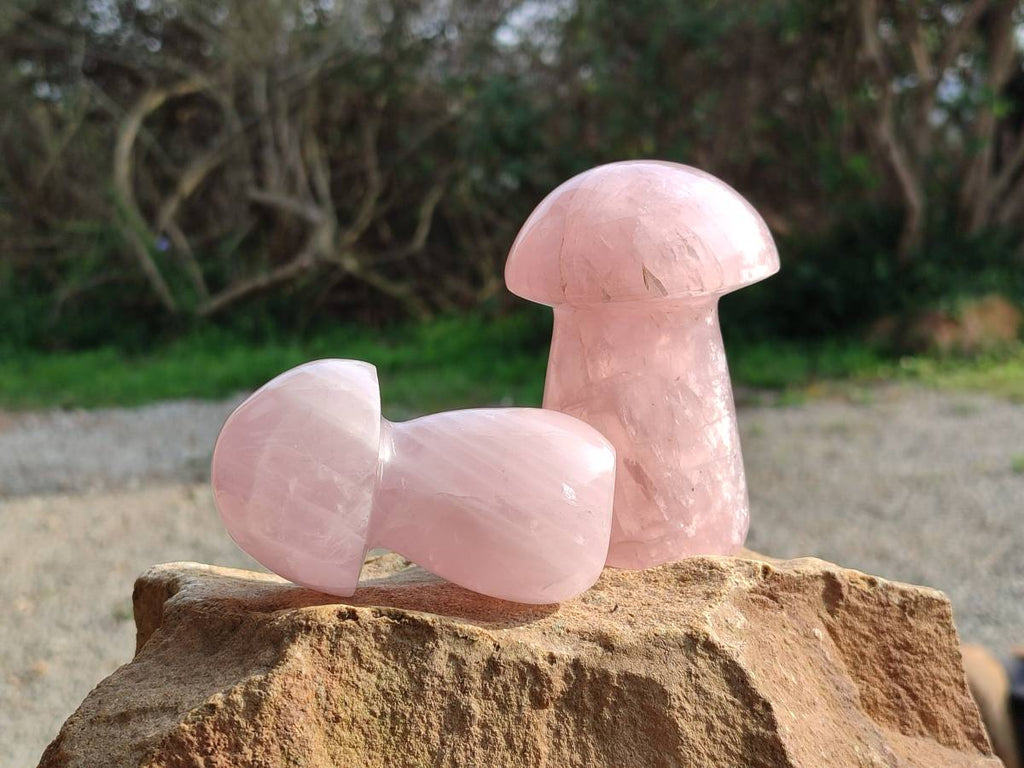Polished Rose Quartz Mushrooms x 6 From Madagascar - Toprock Gemstones and Minerals 