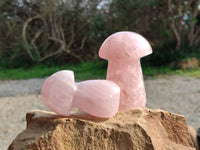 Polished Rose Quartz Mushrooms x 6 From Madagascar