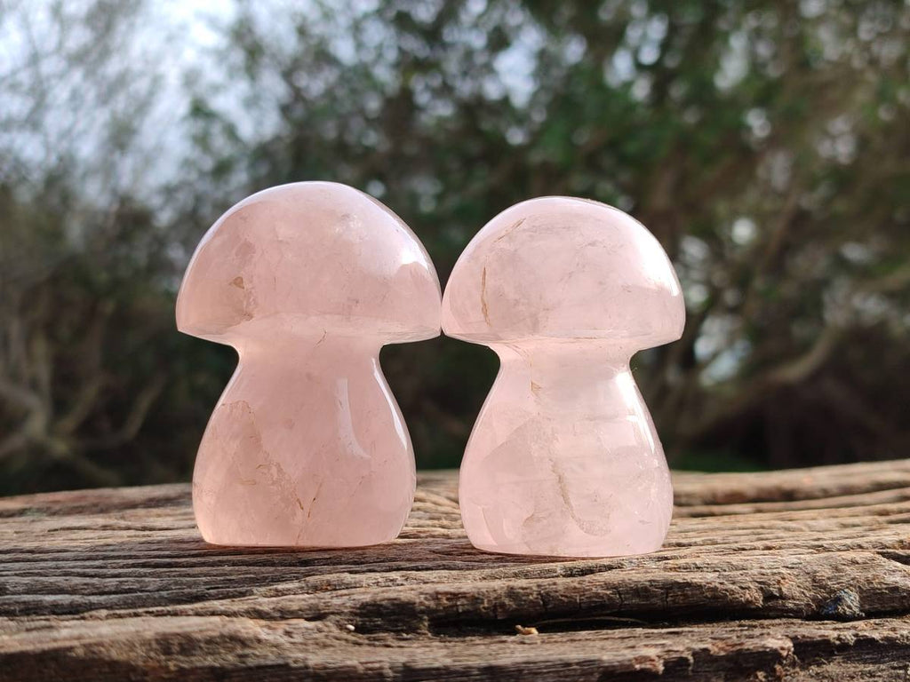 Polished Rose Quartz Mushrooms x 6 From Madagascar - Toprock Gemstones and Minerals 