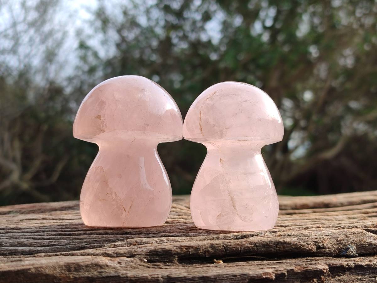 Polished Rose Quartz Mushrooms x 6 From Madagascar - Toprock Gemstones and Minerals 