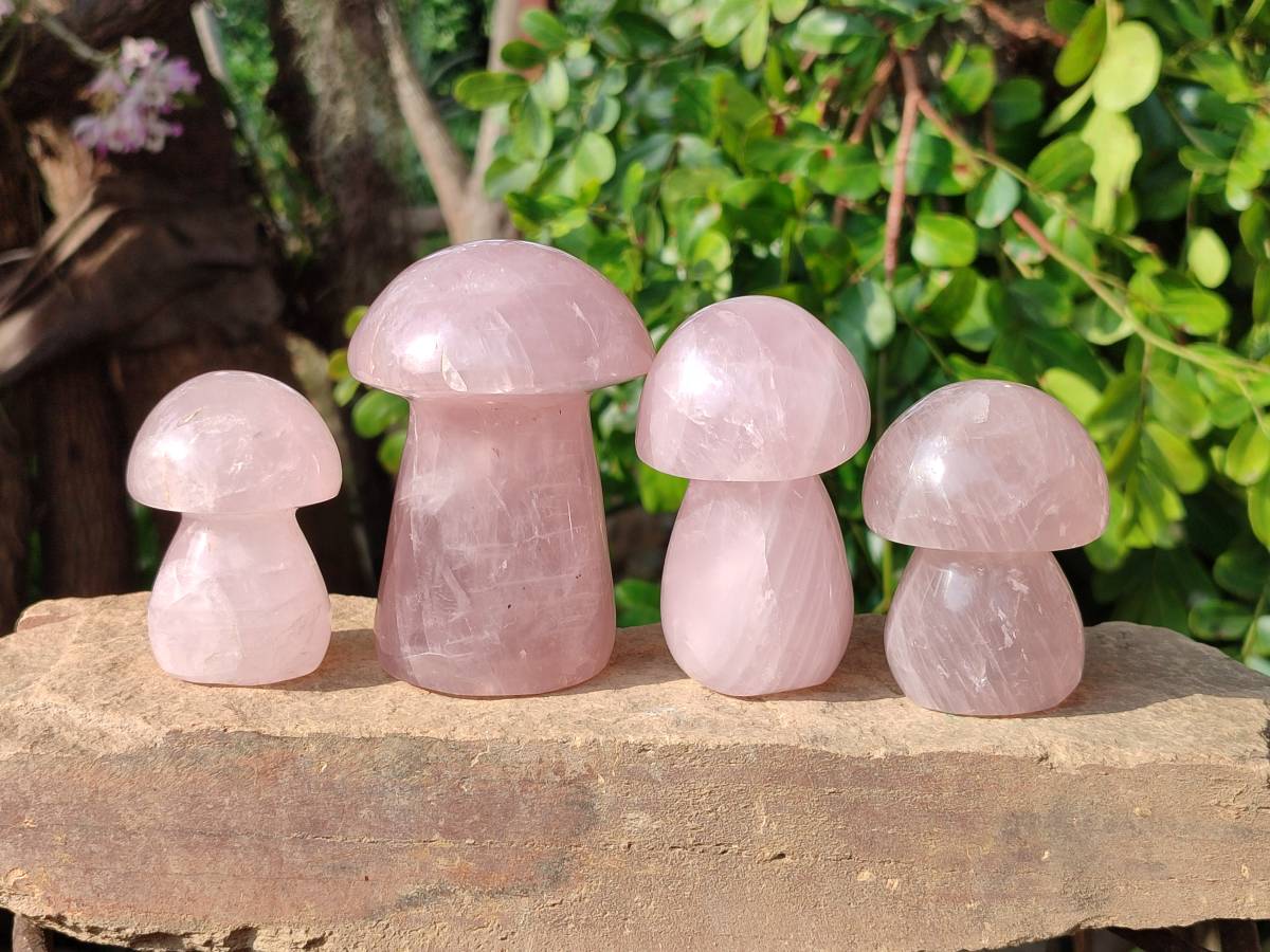 Polished Rose Quartz Mushrooms x 6 From Madagascar - Toprock Gemstones and Minerals 