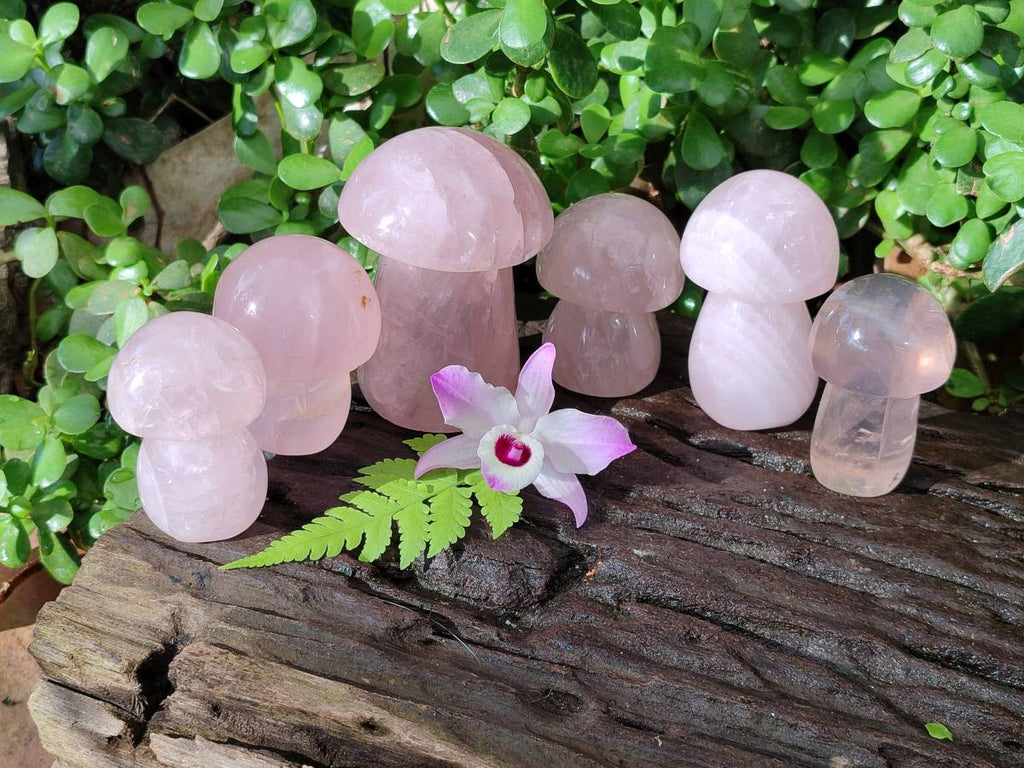 Polished Rose Quartz Mushrooms x 6 From Madagascar - Toprock Gemstones and Minerals 