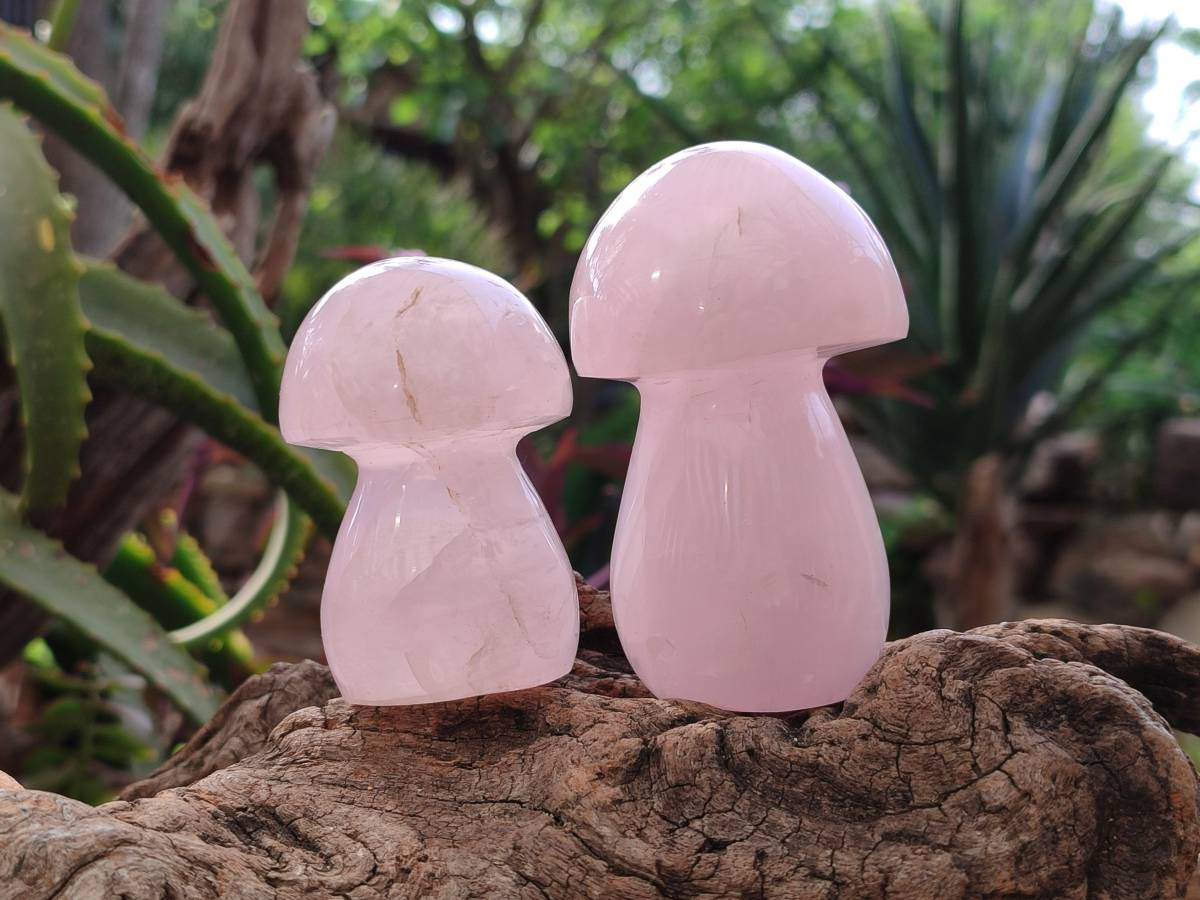 Polished Rose Quartz Mushrooms x 6 From Madagascar - Toprock Gemstones and Minerals 