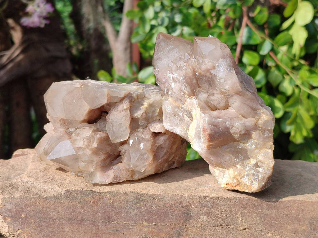 Natural Smokey Phantom Quartz Clusters x 2 From Luena, Congo - Toprock Gemstones and Minerals 