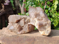 Natural Smokey Phantom Quartz Clusters x 2 From Luena, Congo