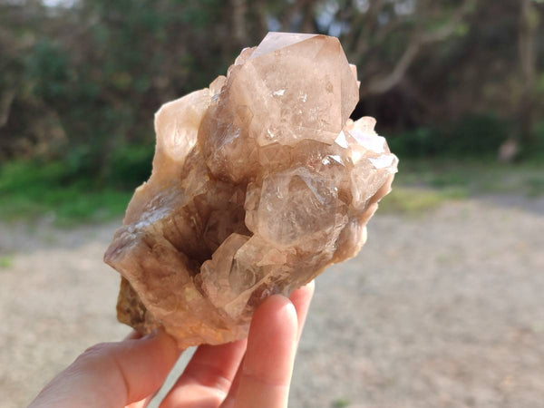 Natural Smokey Phantom Quartz Clusters x 2 From Luena, Congo