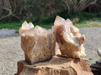Natural Smokey Phantom Quartz Clusters x 2 From Luena, Congo