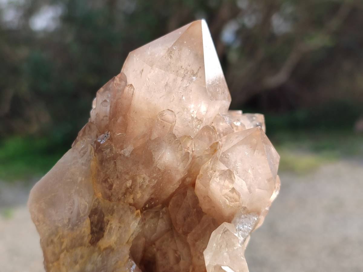 Natural Smokey Phantom Quartz Clusters x 2 From Luena, Congo - Toprock Gemstones and Minerals 