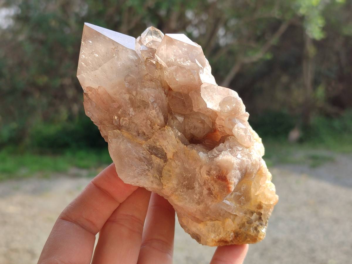 Natural Smokey Phantom Quartz Clusters x 2 From Luena, Congo - Toprock Gemstones and Minerals 