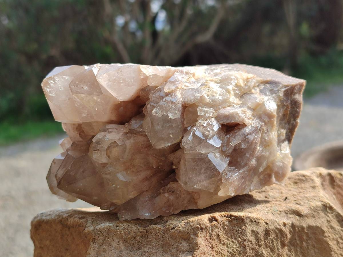 Natural Smokey Phantom Quartz Clusters x 2 From Luena, Congo - Toprock Gemstones and Minerals 