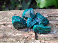 Polished Dioptase Free Forms x 35 From Likasi, Congo