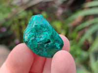 Polished Dioptase Free Forms x 35 From Likasi, Congo