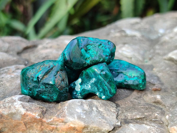 Polished Dioptase Free Forms x 35 From Likasi, Congo
