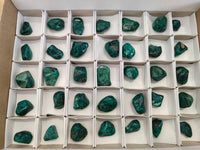 Polished Dioptase Free Forms x 35 From Likasi, Congo