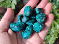 Polished Dioptase Free Forms x 35 From Likasi, Congo