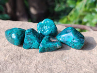 Polished Dioptase Free Forms x 35 From Likasi, Congo