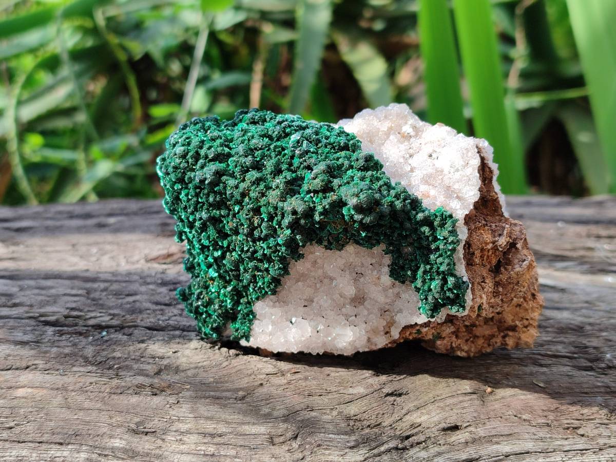 Natural Crystalline Ball Malachite and Quartz On Dolomite Matrix Specimens x 2 From Mindingi Mine, Kambove, Congo - Toprock Gemstones and Minerals 