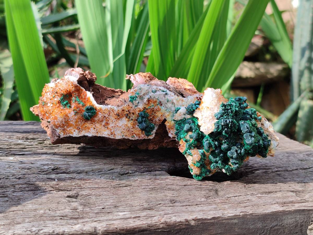 Natural Crystalline Ball Malachite and Quartz On Dolomite Matrix Specimens x 2 From Mindingi Mine, Kambove, Congo - Toprock Gemstones and Minerals 