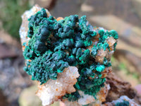 Natural Crystalline Ball Malachite and Quartz On Dolomite Matrix Specimens x 2 From Mindingi Mine, Kambove, Congo